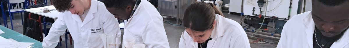 Témoignages des anciens étudiants